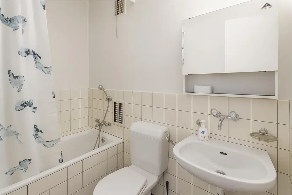 Fully Equipped Apartment in Zurich – foto 6 di 11