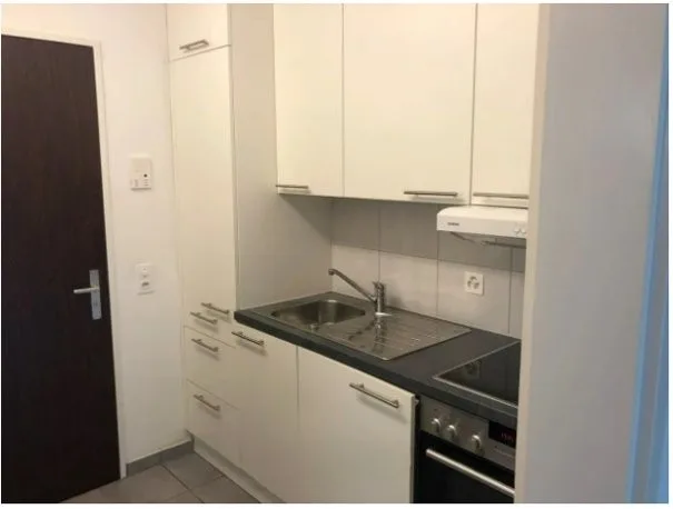 Grosszügige 1.5-Zimmer-Wohnung mit Balkon in Forch – photo 3 sur 5