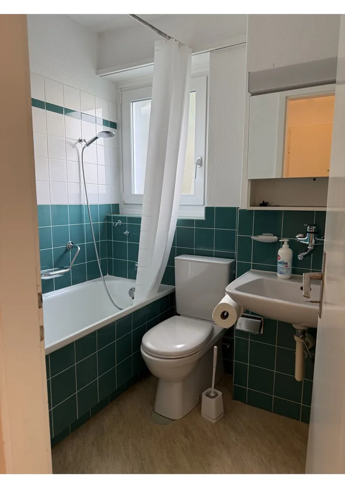 Fully Equipped Private Apartment in Zurich – foto 6 di 9