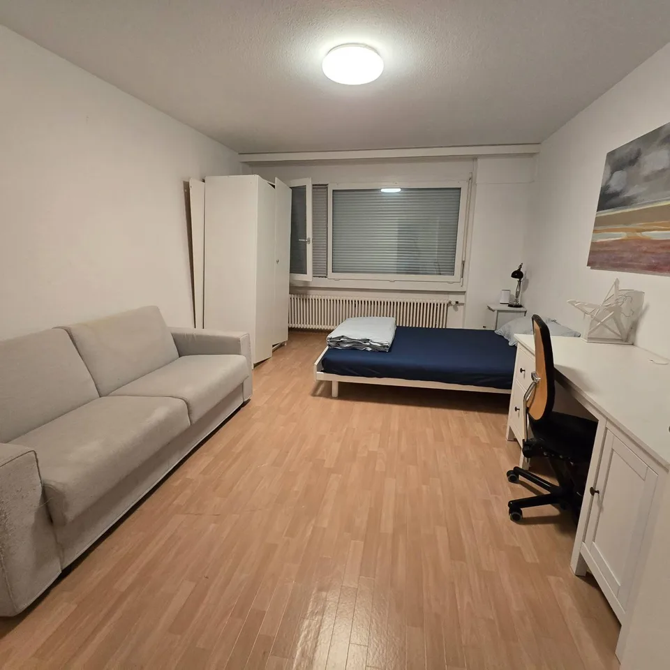 Fully Equipped Private Apartment in Zurich – foto 2 di 9