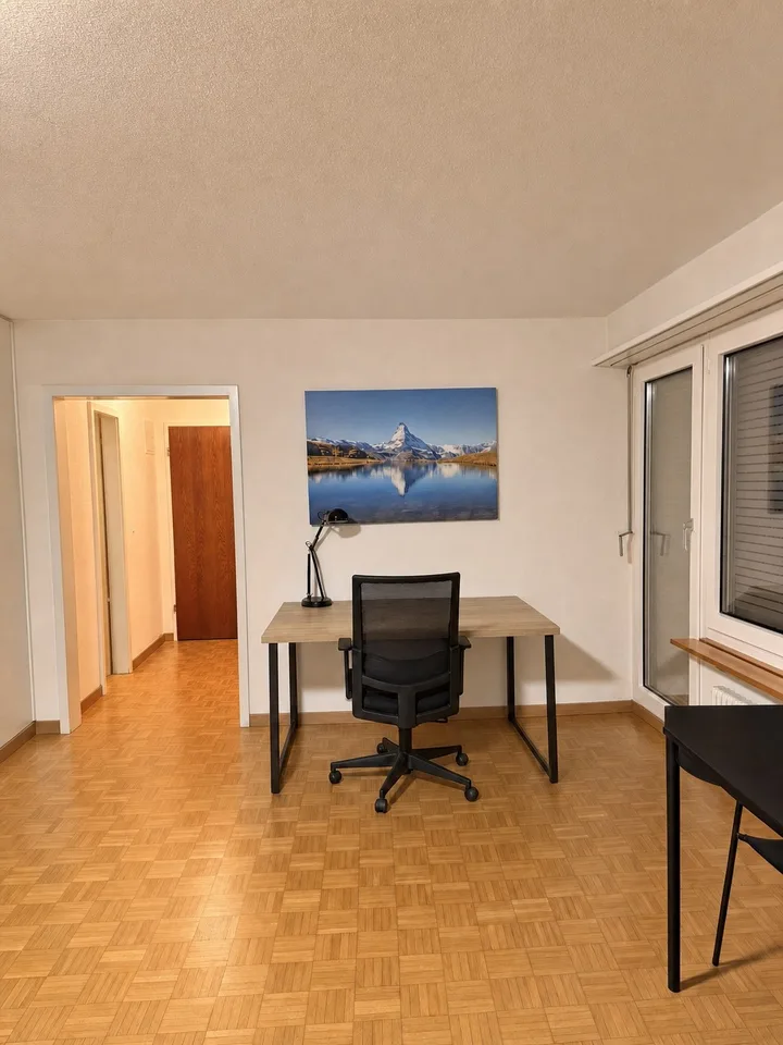 Fully Equipped Private Studio in Thalwil – foto 11 di 14