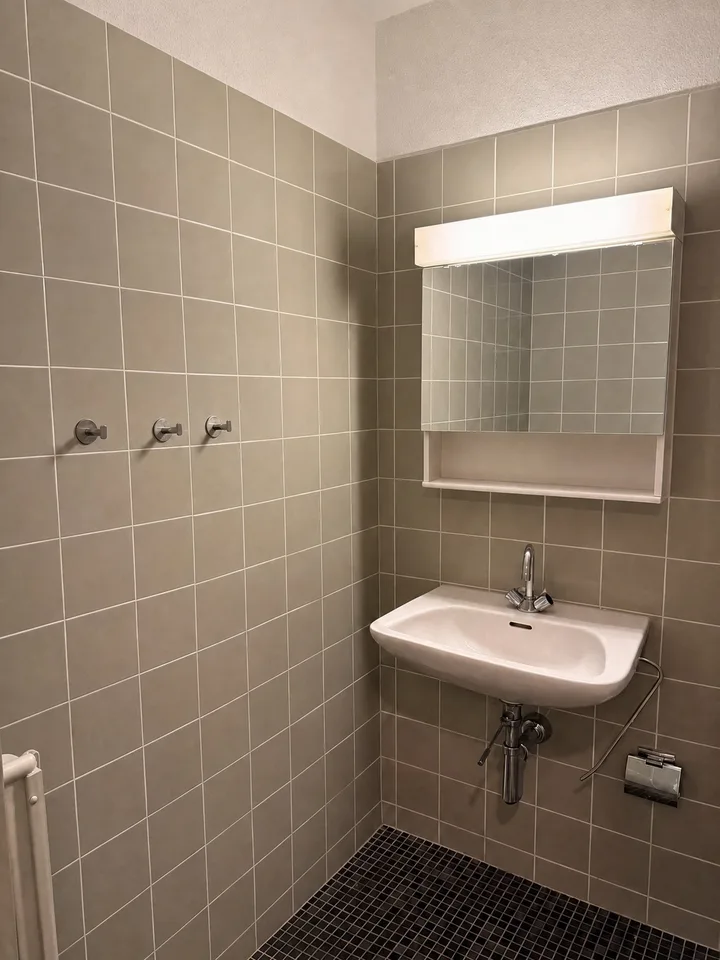 Fully Equipped Private Studio in Thalwil – foto 5 di 14