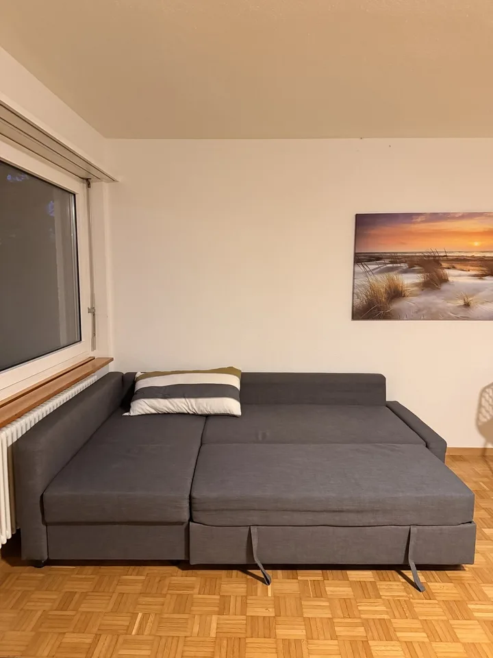 Fully Equipped Private Studio in Thalwil – foto 9 di 14