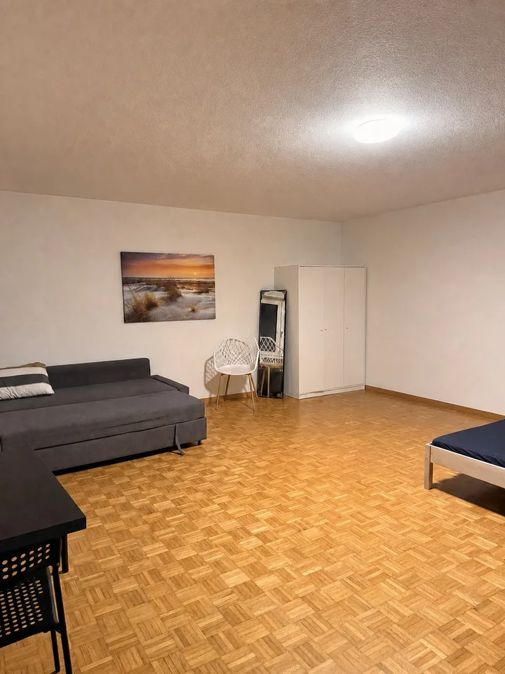 Fully Equipped Private Studio in Thalwil – foto 10 di 14