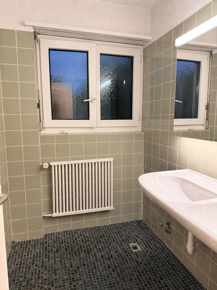 Private Room in Shared Apartment in Thalwil – foto 9 di 12