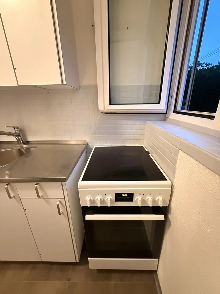 Private Room in Shared Apartment in Thalwil – foto 6 di 12