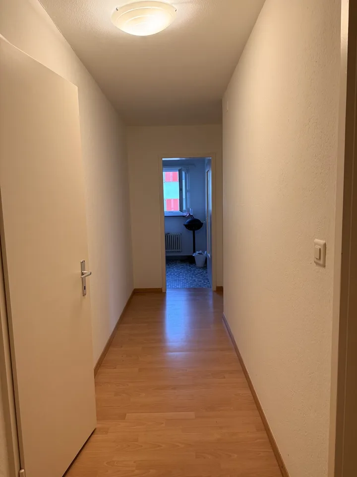 Private Room in Shared Apartment in Dietikon – photo 13 sur 13