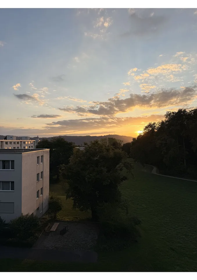 Private Room in Shared Apartment in Zurich – foto 14 di 15