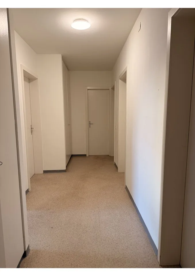 Private Room in Shared Apartment in Zurich – foto 10 di 15