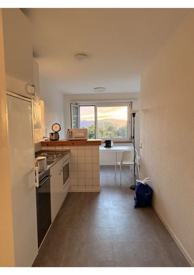 Private Room in Shared Apartment in Zurich – foto 5 di 15