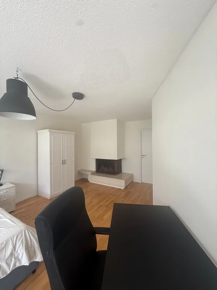 Private Room in Shared Apartment in Zurich – photo 3 sur 11