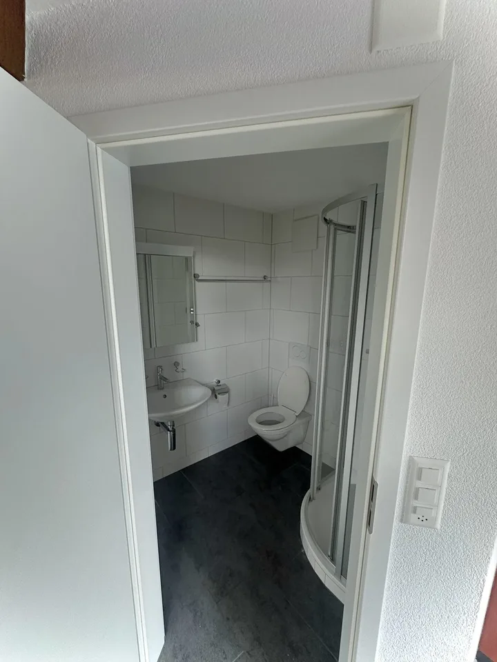 Loftwohnung 3.5 Zimmer mit grossem Balkon – Foto 6 von 6