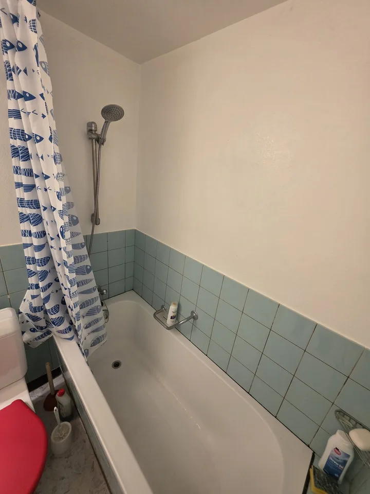 Appartement meublé charmant à Hinterkappelen avec vue sur le lac de Wohlensee – photo 11 sur 14