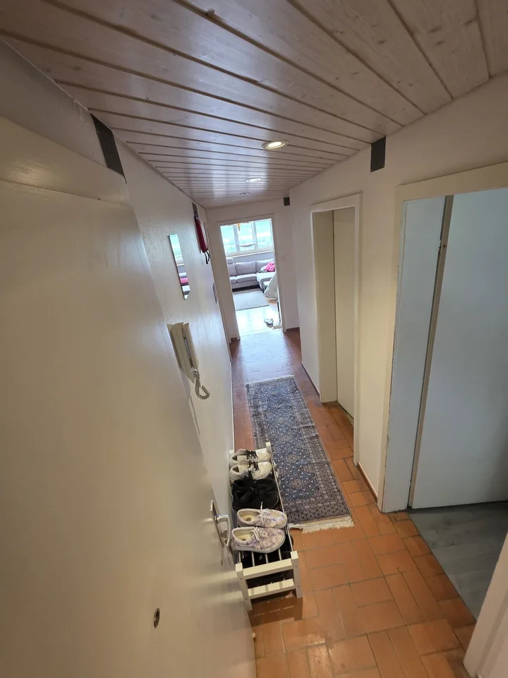 Appartement meublé charmant à Hinterkappelen avec vue sur le lac de Wohlensee – photo 2 sur 14