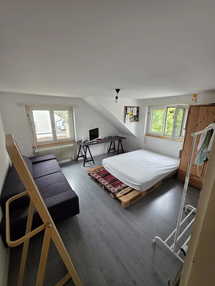 Appartement meublé charmant à Hinterkappelen avec vue sur le lac de Wohlensee – photo 4 sur 14
