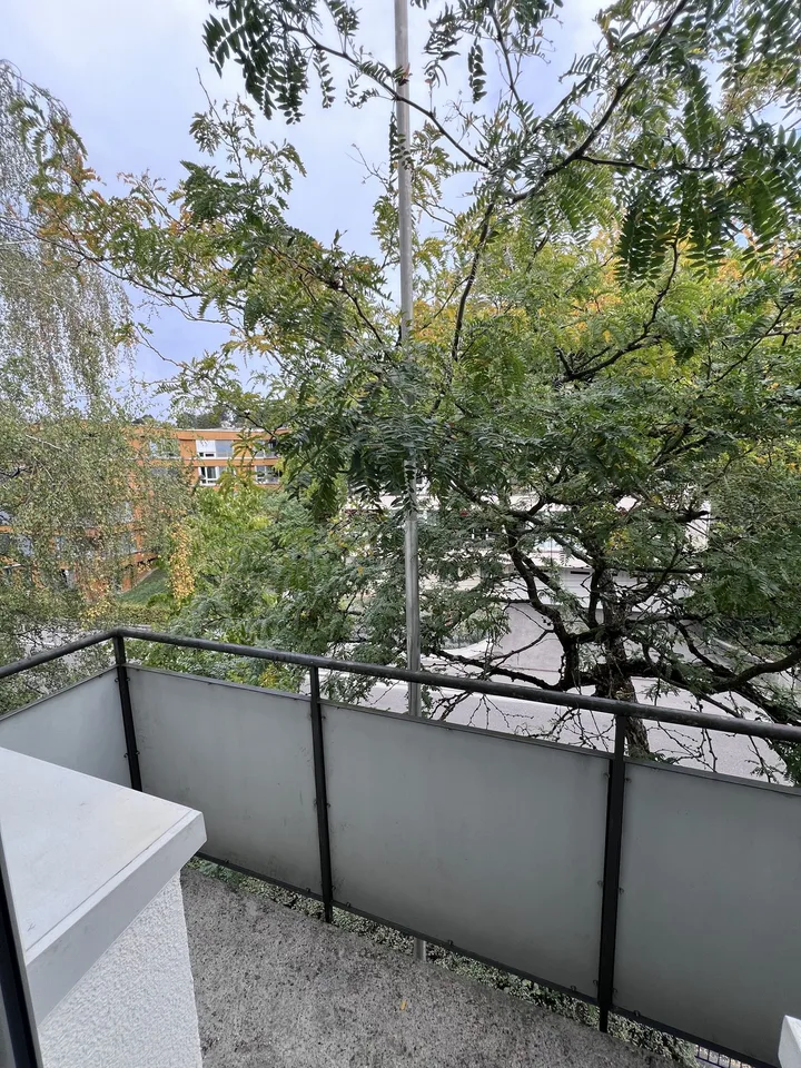 Private Room in Shared Apartment in Zurich – foto 9 di 14