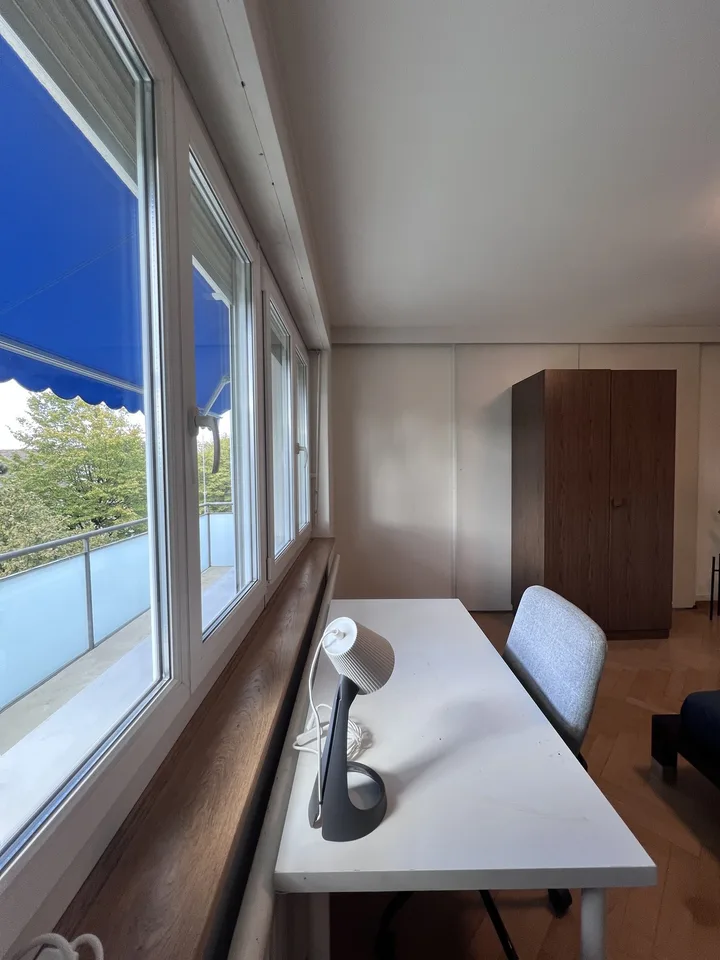 Private Room in Shared Apartment in Zurich – foto 3 di 14