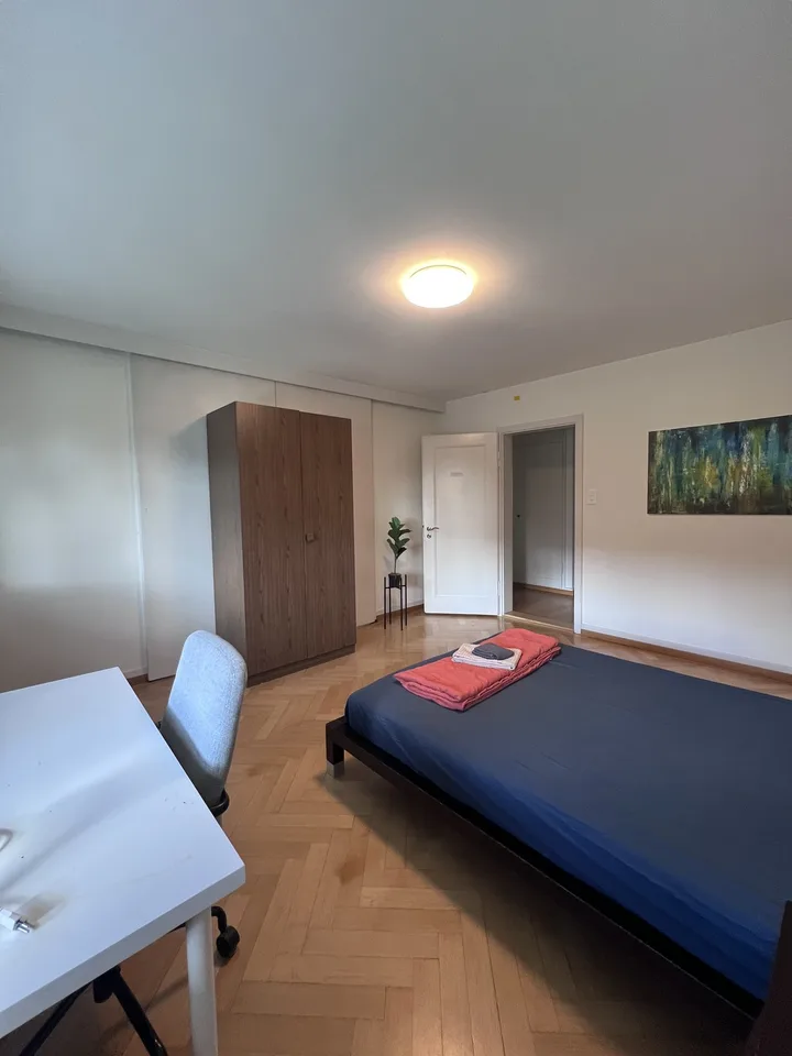 Private Room in Shared Apartment in Zurich – foto 2 di 14