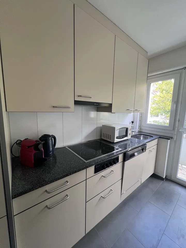 Private Room in Shared Apartment in Zurich – foto 6 di 14