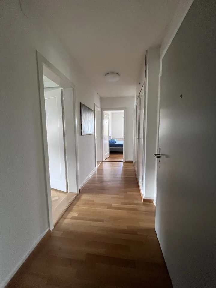 Private Room in Shared Apartment in Zurich – foto 13 di 14