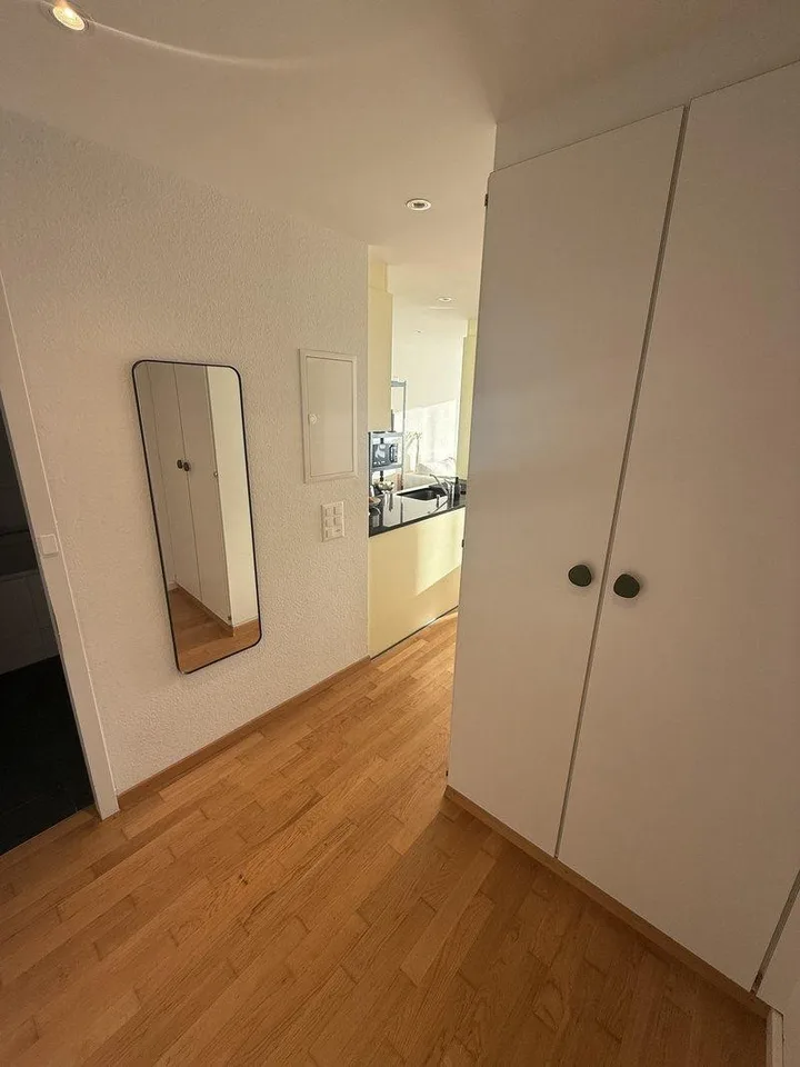 Sublet: Modern & Furnished 2-Room Apartment in Cham, Canton Zug – foto 9 di 10