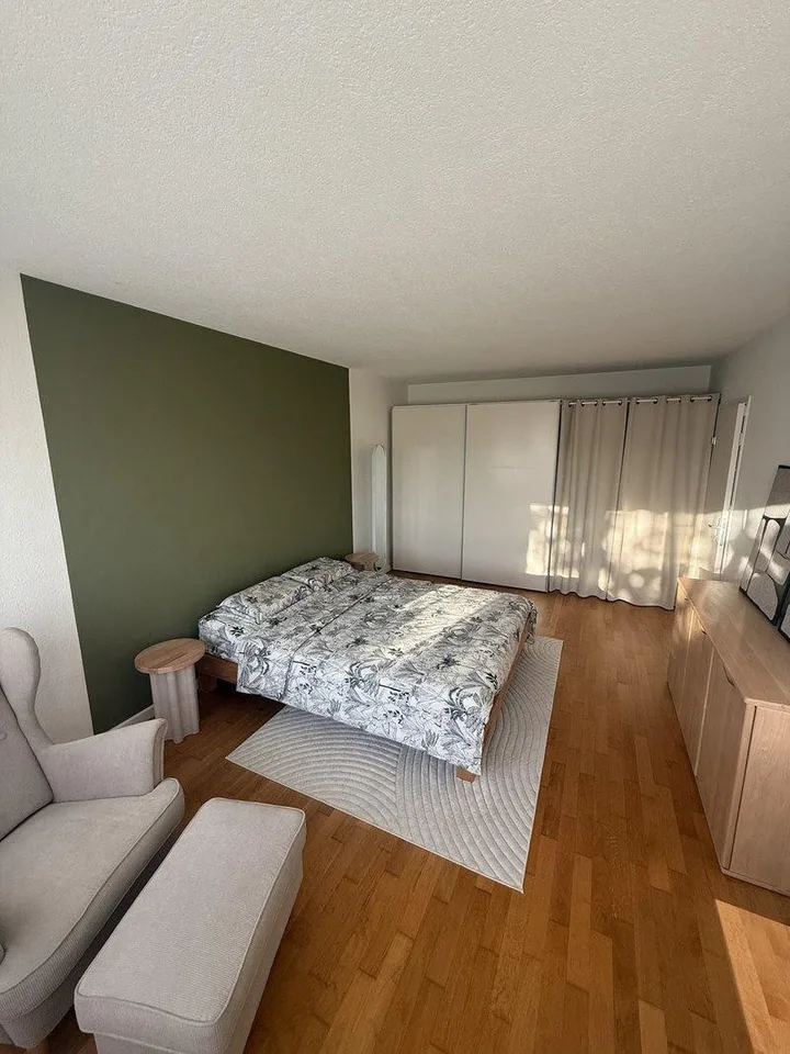 Sublet: Modern & Furnished 2-Room Apartment in Cham, Canton Zug – foto 5 di 10