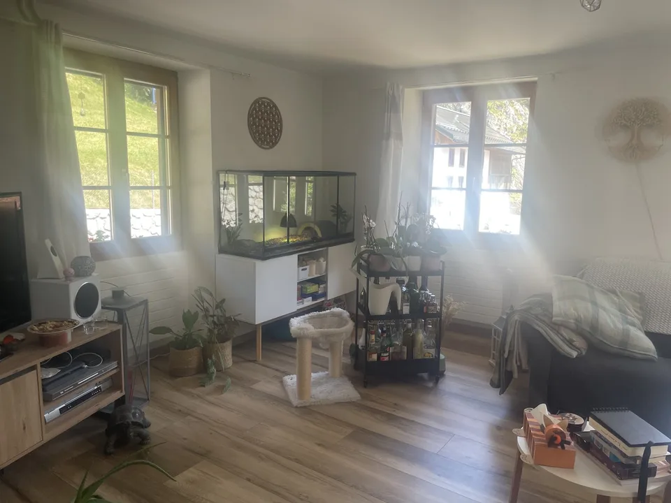 Renovierte 7.5-Zimmer-Wohnung in Jaun, Appartement rénové de 7,5 pièces à Jaun – Foto 6 von 6