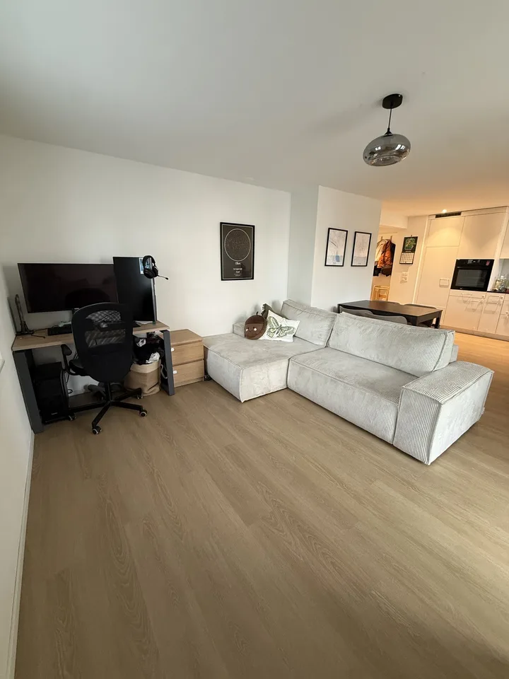 Appartamento 2.5 locali luminoso al 2° piano; Eichstrasse 2, 8610 Uster – foto 2 di 9