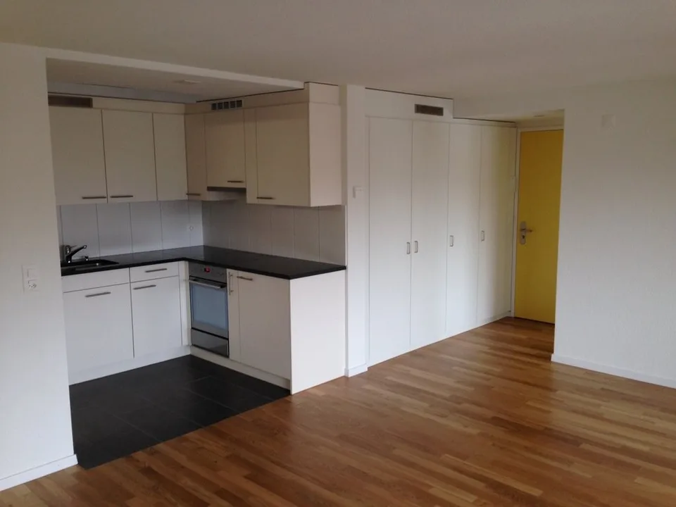 1.5-Zimmerwohnung im Pestalozzipark – photo 2 sur 7