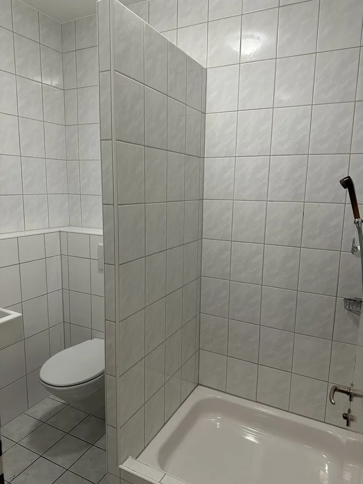 Oggetto commerciale attraente direttamente sul Reno - circa 105 m2 a Birsfelden – foto 8 di 9