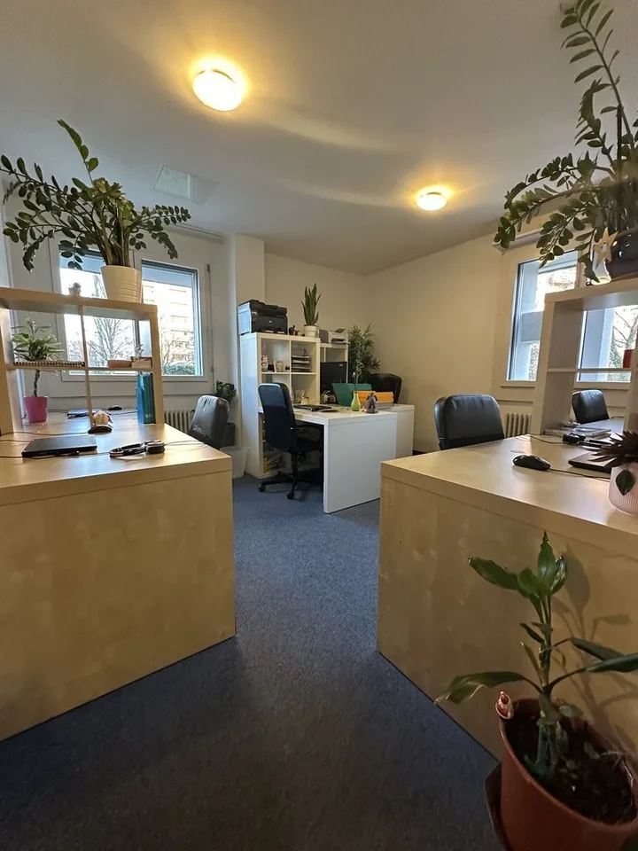 Oggetto commerciale attraente direttamente sul Reno - circa 105 m2 a Birsfelden – foto 3 di 9