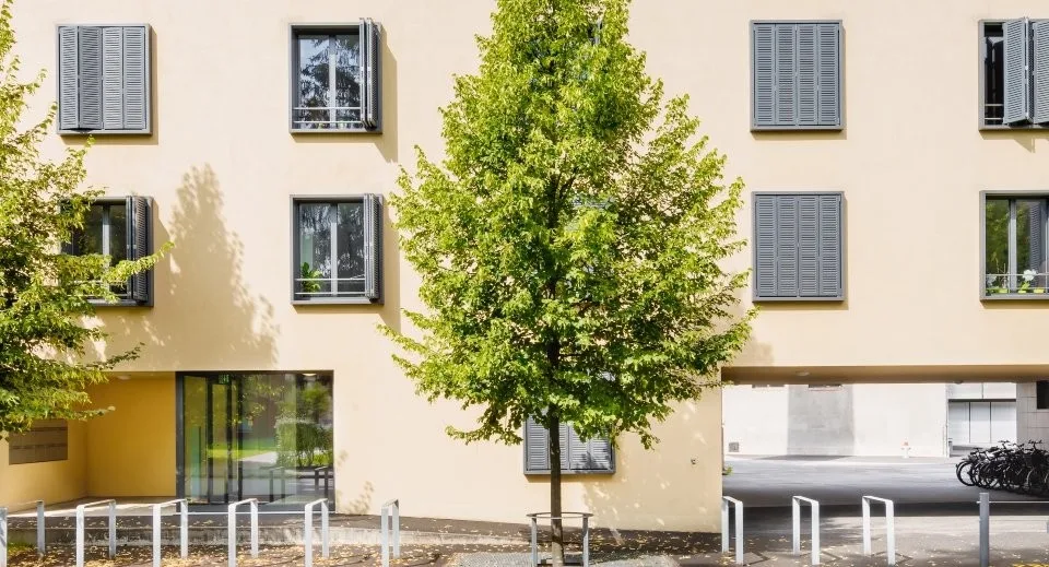 Wohnen im Sidiareal, www.sidiareal.ch – Foto 11 von 11