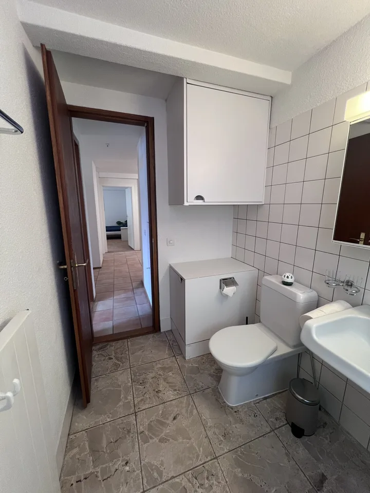 Private Room in Shared Apartment in Zurich – foto 7 di 12