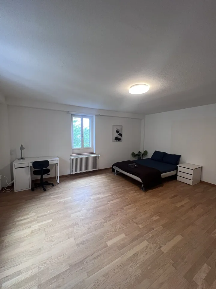 Private Room in Shared Apartment in Zurich – foto 3 di 12