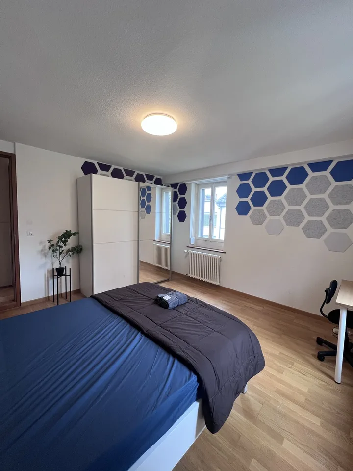 Private Room in Shared Apartment in Zurich – foto 2 di 12