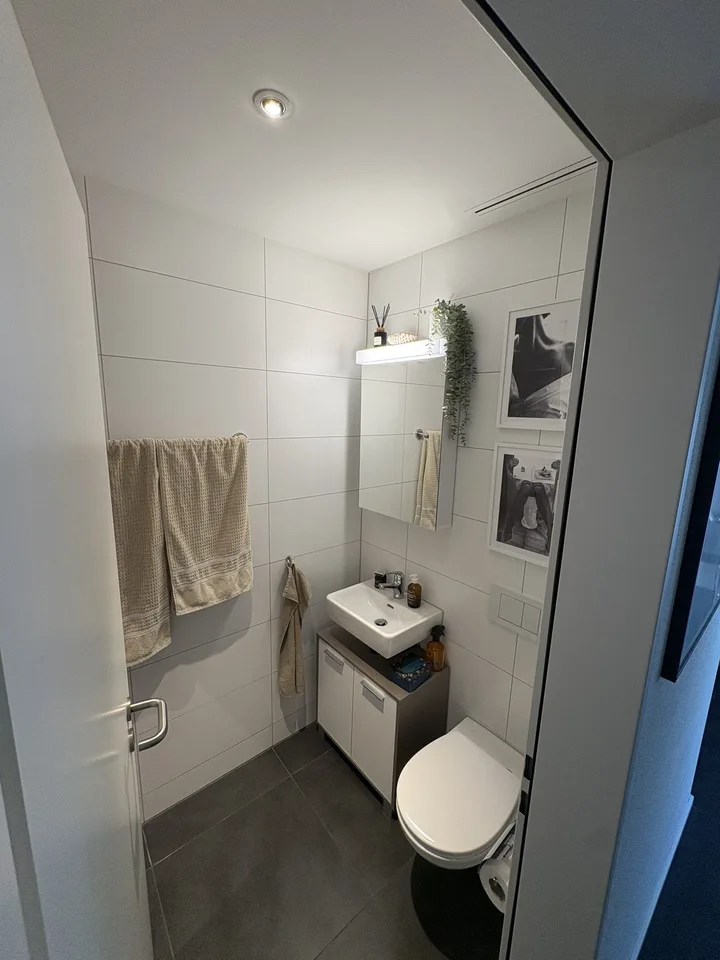 4.5-Zimmer-Wohnung mit Gartensitzplatz am Fusse des Uetlibergs – photo 6 of 20
