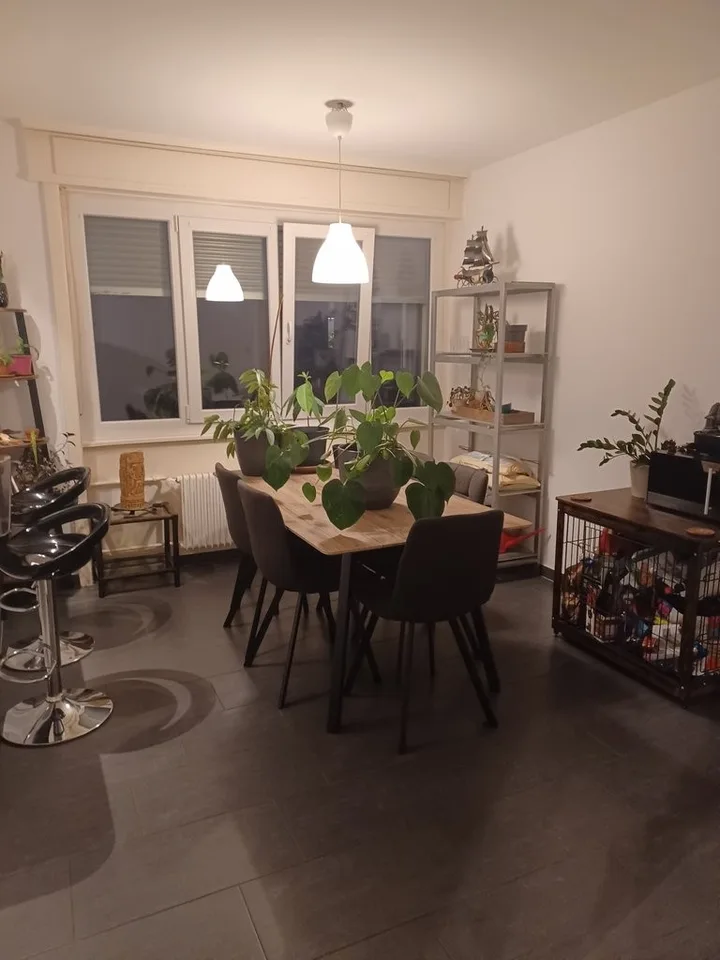 Bel appartement de 3.5 pièces au centre de Fribourg à louer ! – foto 2 di 9
