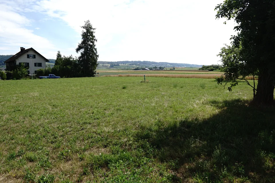 Attraktive Baulandparzelle in Waltalingen – photo 2 of 6