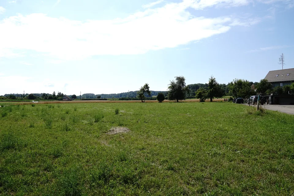 Attraktive Baulandparzelle in Waltalingen – photo 4 of 6