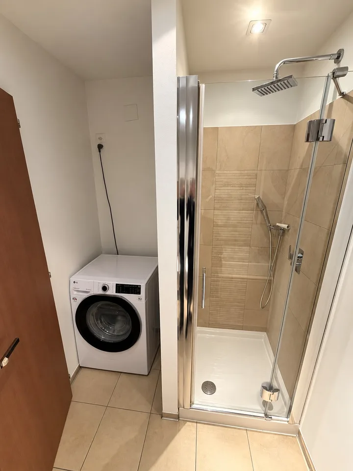 Elegantes 3.5-Zimmer-Wohnung mit großer Panoramaterrasse und Seeblick Paradiso – Foto 16 von 25