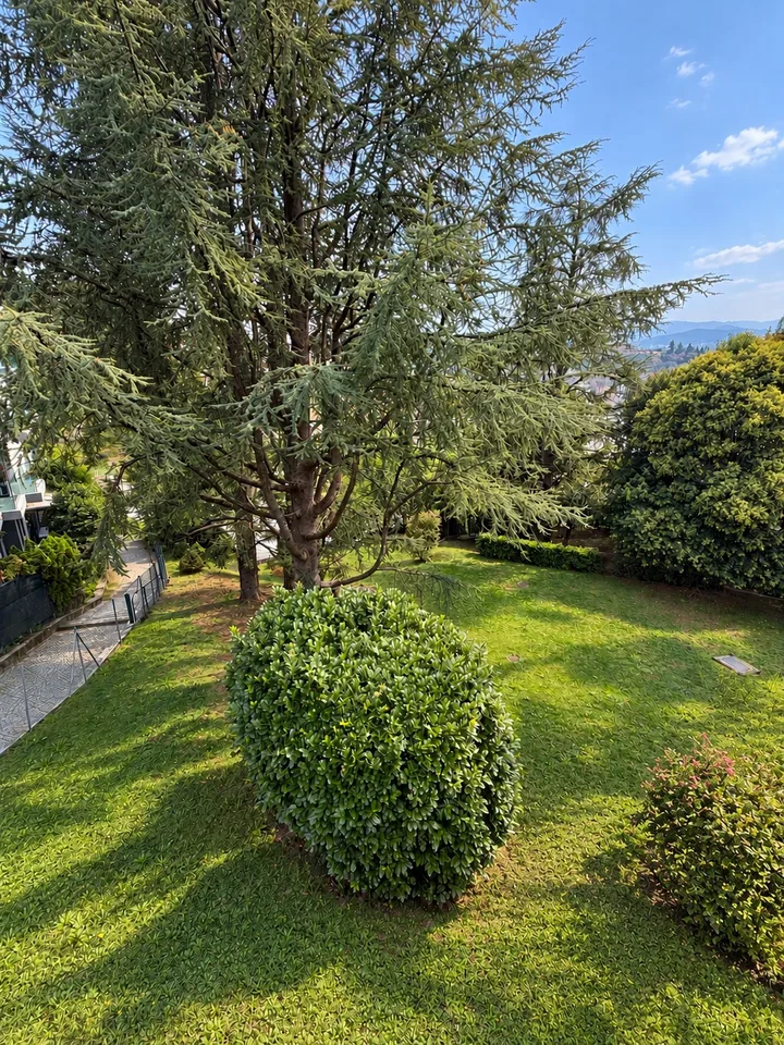 Elegantes 3.5-Zimmer-Wohnung mit großer Panoramaterrasse und Seeblick Paradiso – Foto 25 von 25