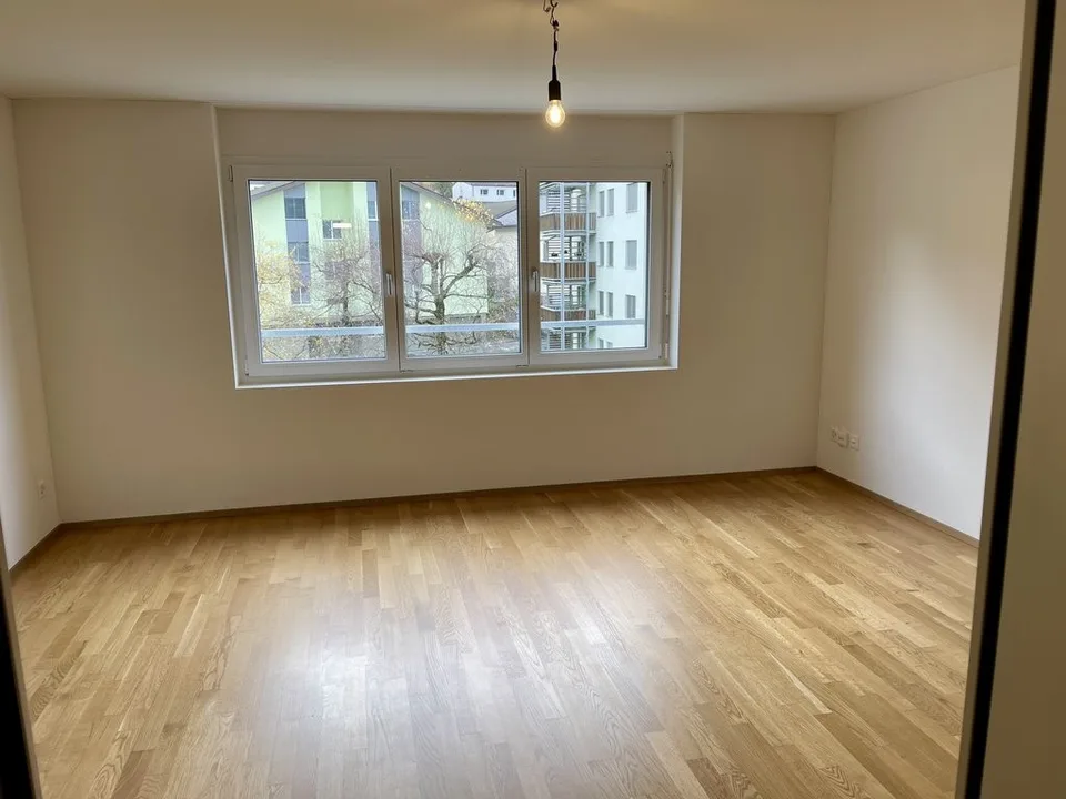 Cozy 1.5-room apartment near Lake Vierwaldstättersee – photo 5 of 5
