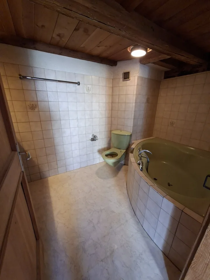 Haus zu verkaufen mit separatem Atelier und Aussenparkplätzen – photo 30 sur 30