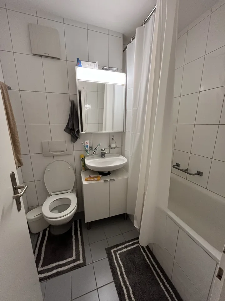 TEMPORARY 2,5 Room Apartment in Birmensdorf ZH – photo 4 of 8