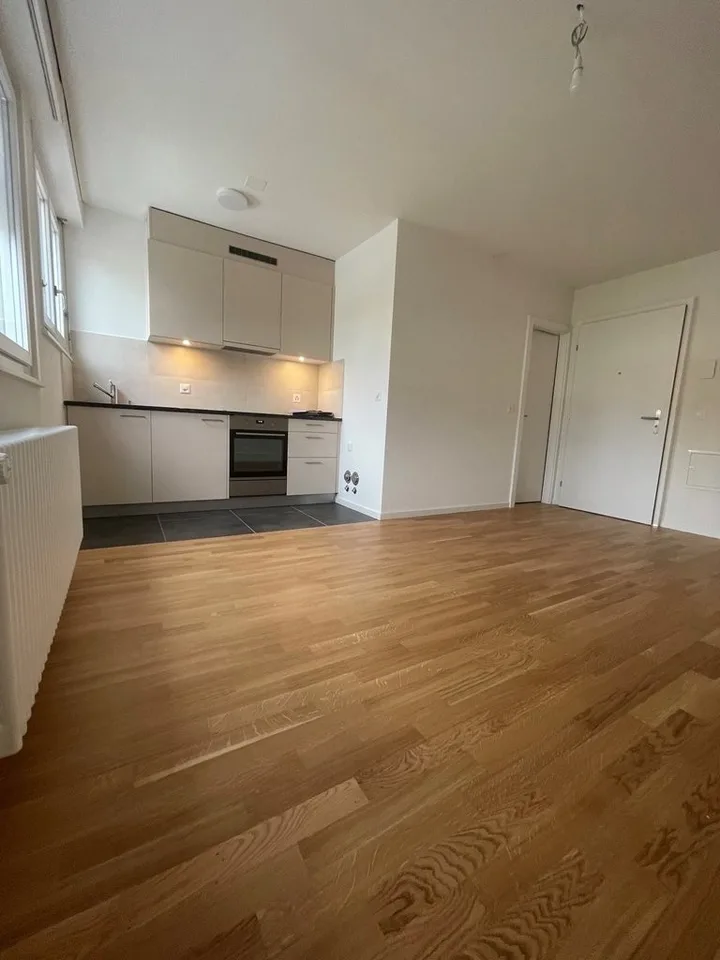 Fully renovated studio – photo 2 of 4