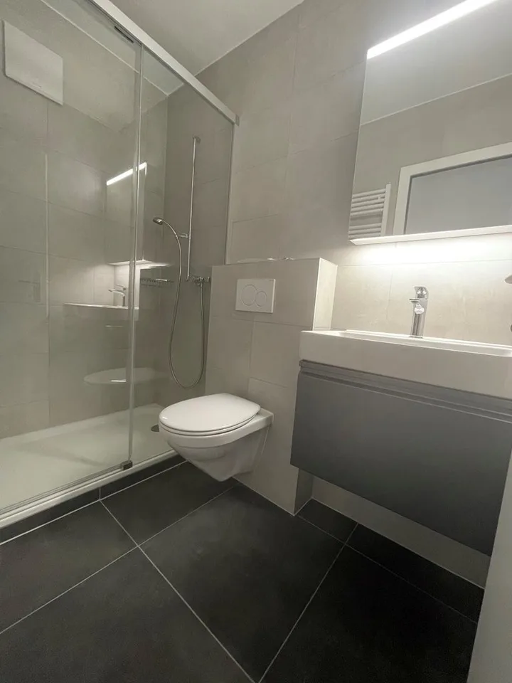 Fully renovated studio – photo 4 of 4