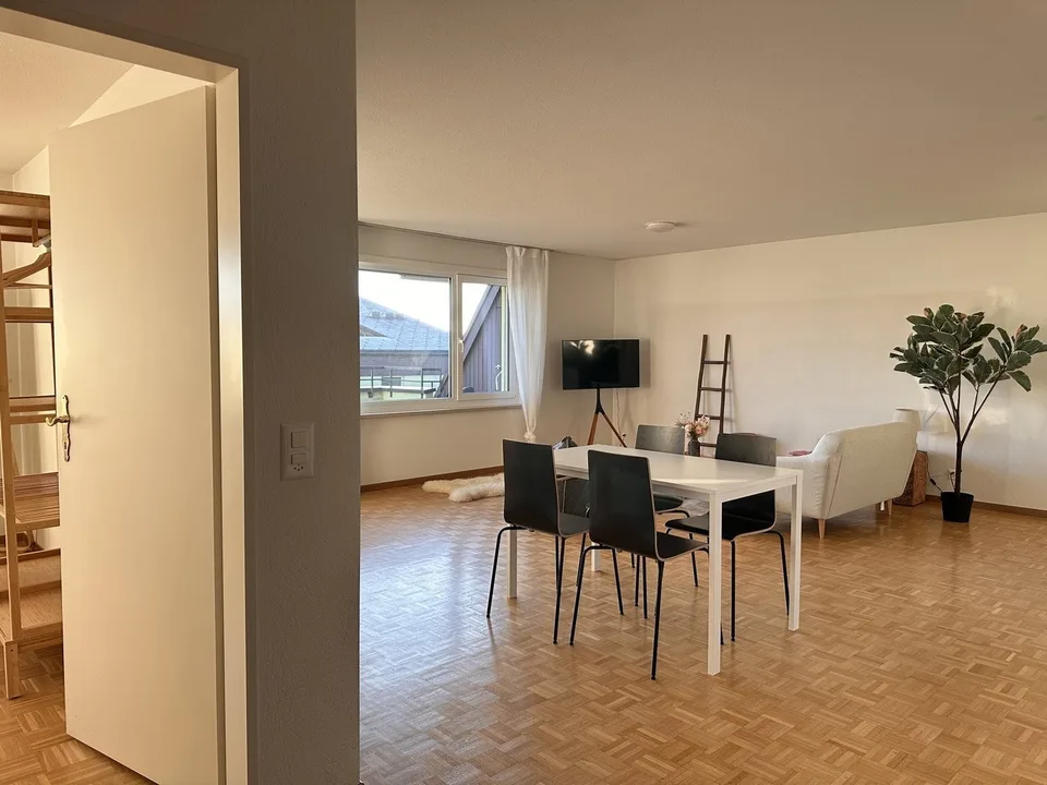 Furnished Private Apartment in Thalwil (limited till 31.03.2027) – photo 6 sur 13