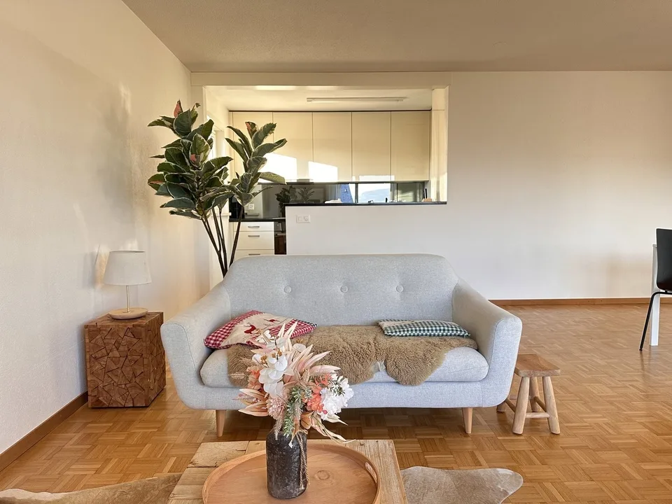 Furnished Private Apartment in Thalwil (limited till 31.03.2027) – photo 2 sur 13