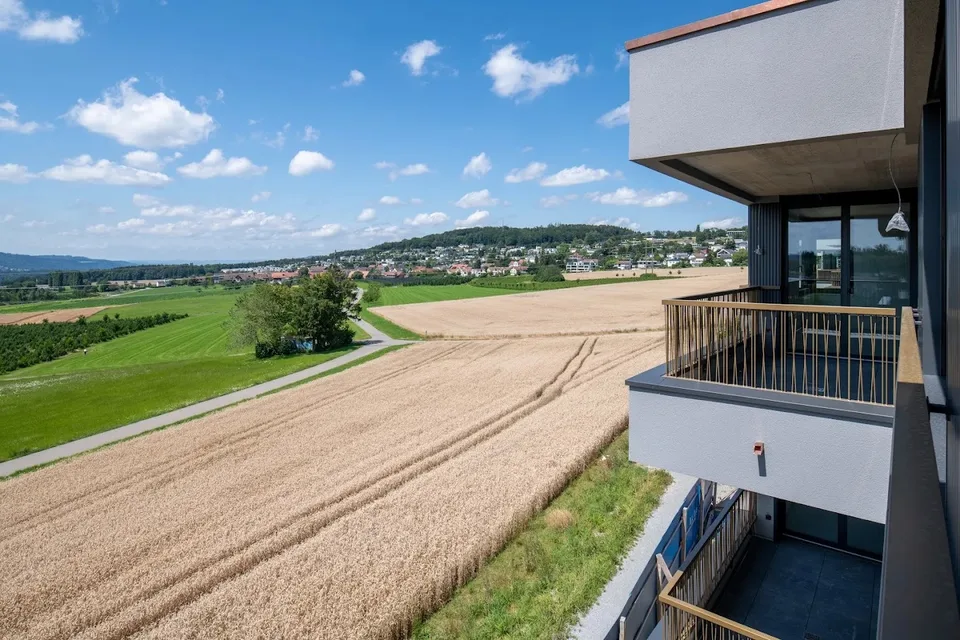 Grosszügige 3.5-Zimmer-Wohnung in Uitikon Waldegg ab 1. Dez – Foto 4 von 11