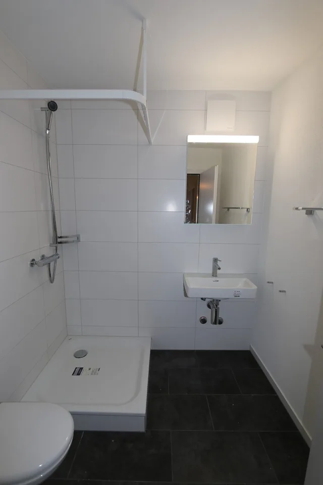 Wunderschöne Altbauwohnung im trendigen Kreis 4 – photo 6 of 9